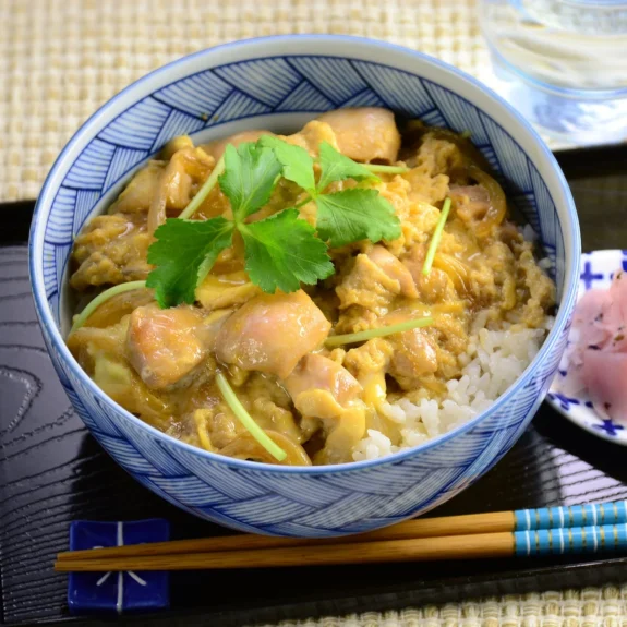 Oyako-Domburi  (Frango com ovo na Tigela)